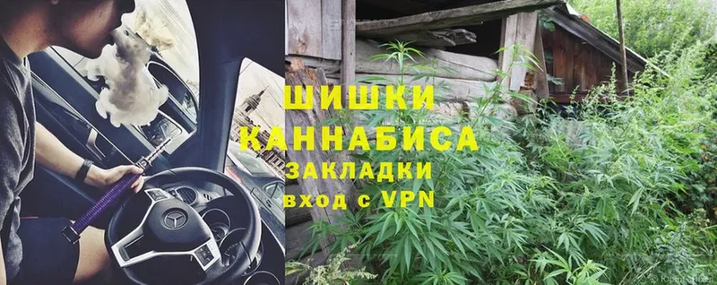 наркота  Демидов  Конопля SATIVA & INDICA 